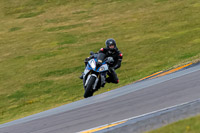 PJ-Motorsport-2019;anglesey-no-limits-trackday;anglesey-photographs;anglesey-trackday-photographs;enduro-digital-images;event-digital-images;eventdigitalimages;no-limits-trackdays;peter-wileman-photography;racing-digital-images;trac-mon;trackday-digital-images;trackday-photos;ty-croes
